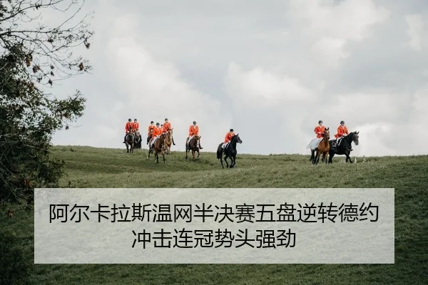 a-er-ka-la-si-wen-wang-ban-jue-sai-wu-pan-ni-zhuan-de-yue-chong-ji-lian-guan-shi-tou-qiang-jing-2-657.jpg